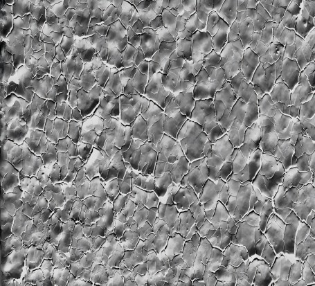 金属的显微组织检测