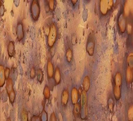 镍基含铬合金的临界点蚀温度检测