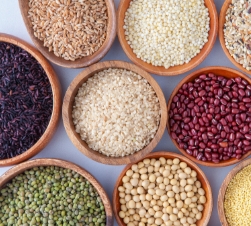 粮食类安全检测