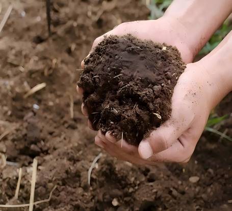 环境类土壤化学分析检测
