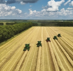 粮食加工品检测