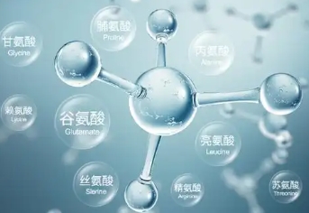 氨基酸检测
