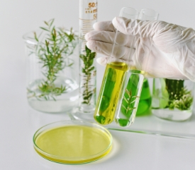 植物提取物检测